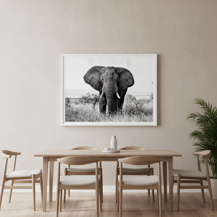 Bull Elephant Landscape Photograph Black and White