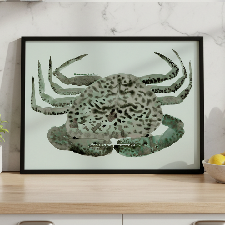 Cangrejo Verde by Marina GarcÃ­a FernÃ¡ndez