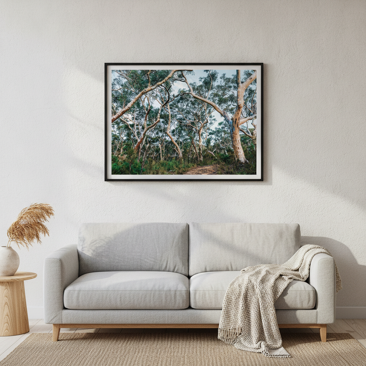 Australian Bush Photography Wall Art