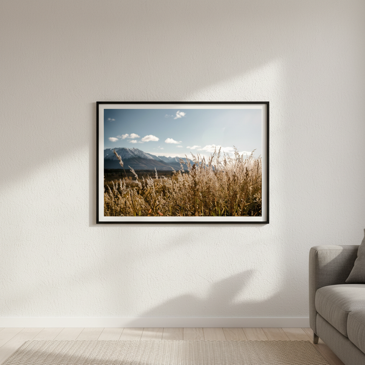 Autumn Light by Cordula Schaefer