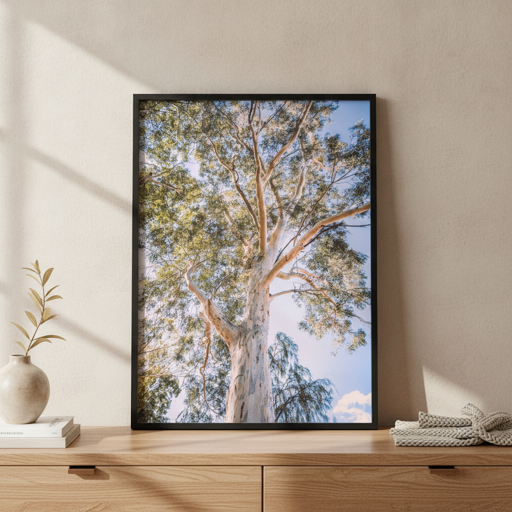 Australian Bush Gum Tree Photography