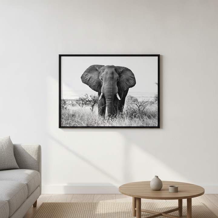 Bull Elephant Landscape Photograph Black and White