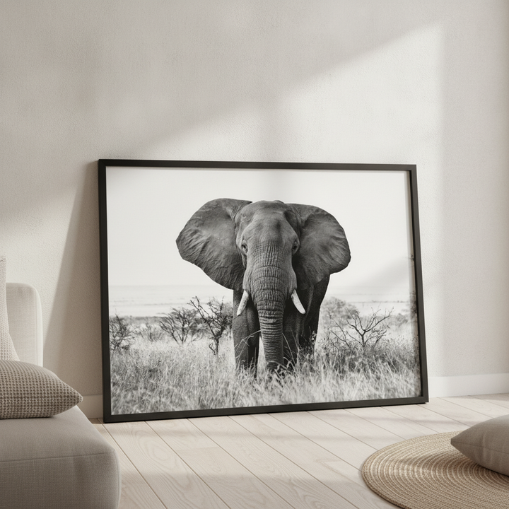 Bull Elephant Landscape Photograph Black and White