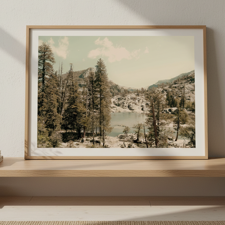 Alone in Solitude by Hope Bainbridge