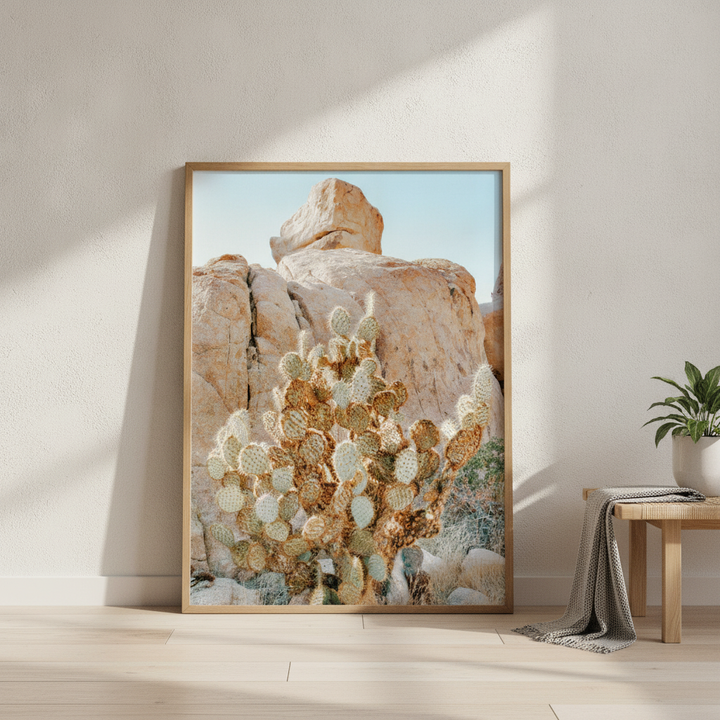 Summer Time Cactus Photograph