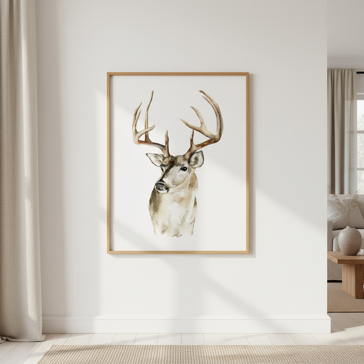 Mule Deer by Meredith O'Neal