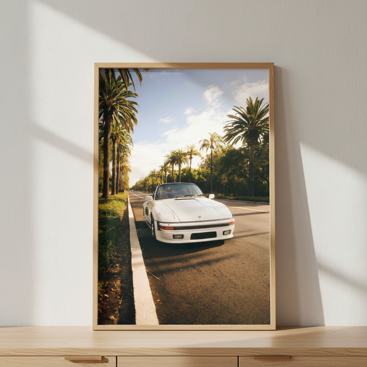 Palms & Porsche by Gelica Peralta