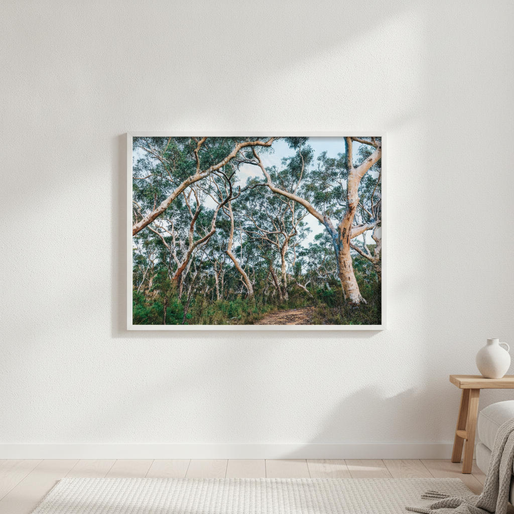 Australian Bush Photography Wall Art