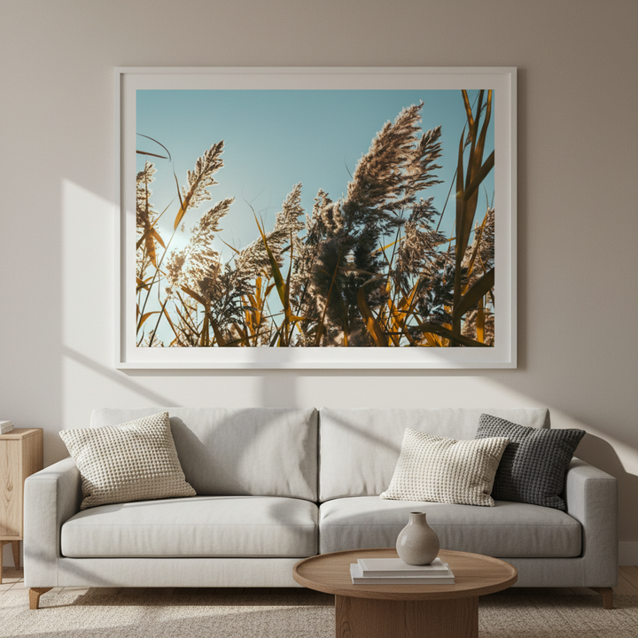 Illuminated Reeds by Aaron Borchardt