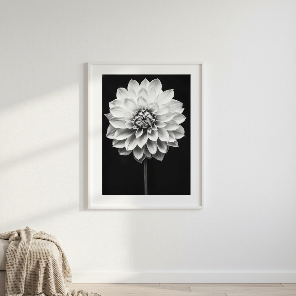 Cactus Dahlia by Peter Attard