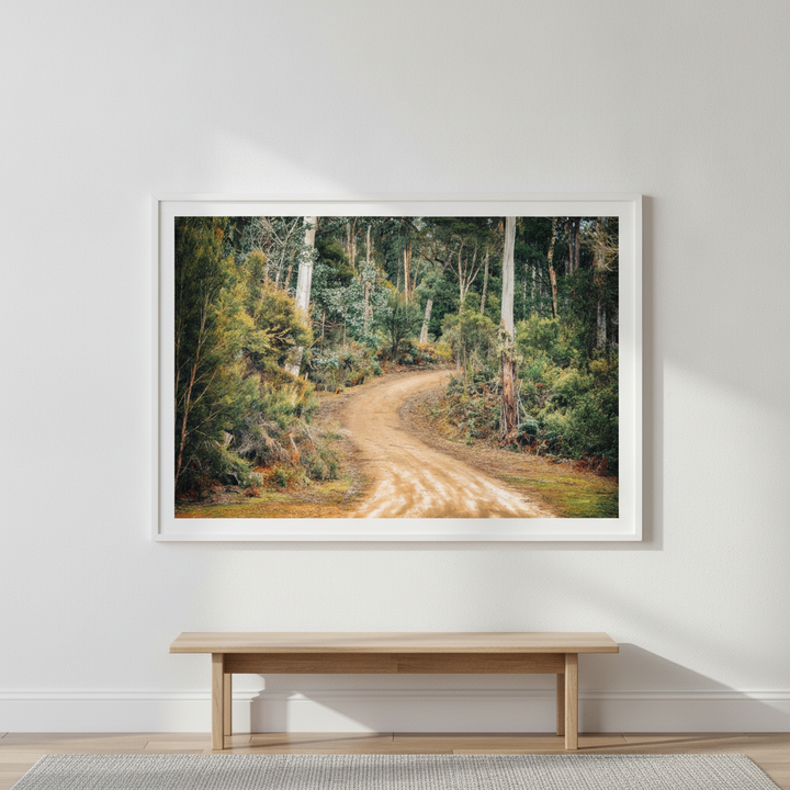 Australian Bush Trek Photograph Art