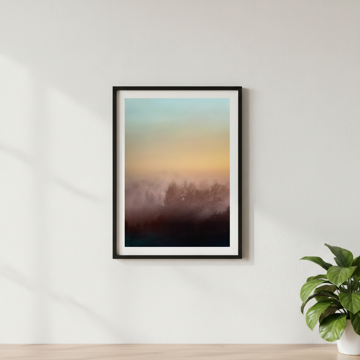 Magical Forest by Hope Bainbridge