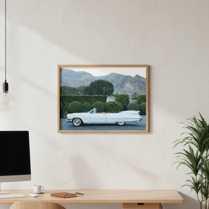 Palm Springs by Robin Skjoldborg