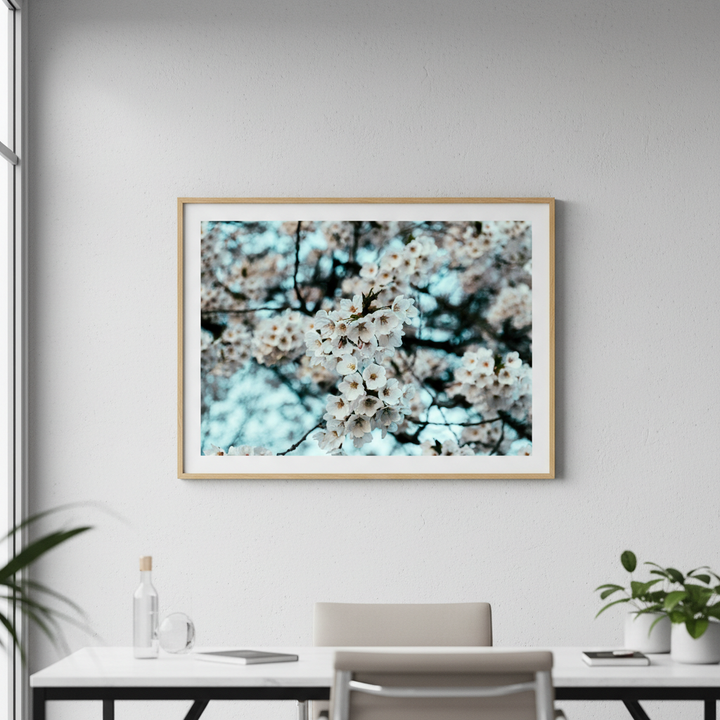 Spring's First by Aaron Borchardt