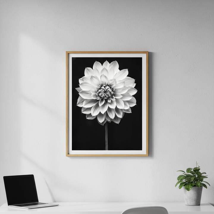 Cactus Dahlia by Peter Attard