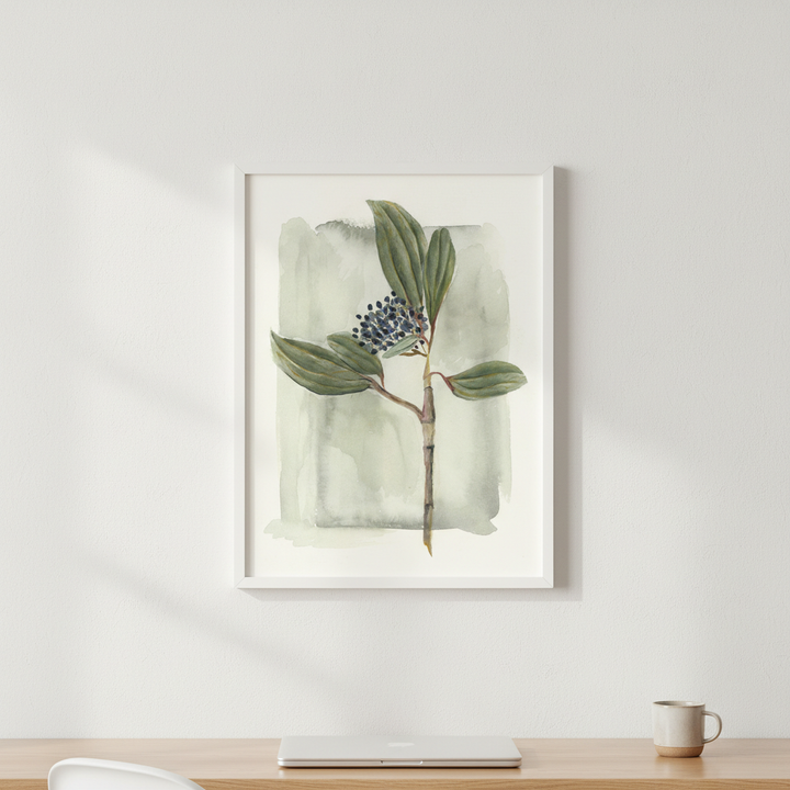 Viburnum David II by Lucrecia Caporale