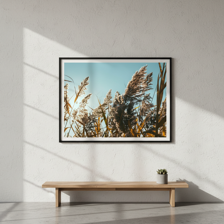 Illuminated Reeds by Aaron Borchardt