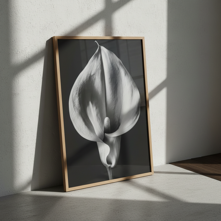 Lily by Peter Attard