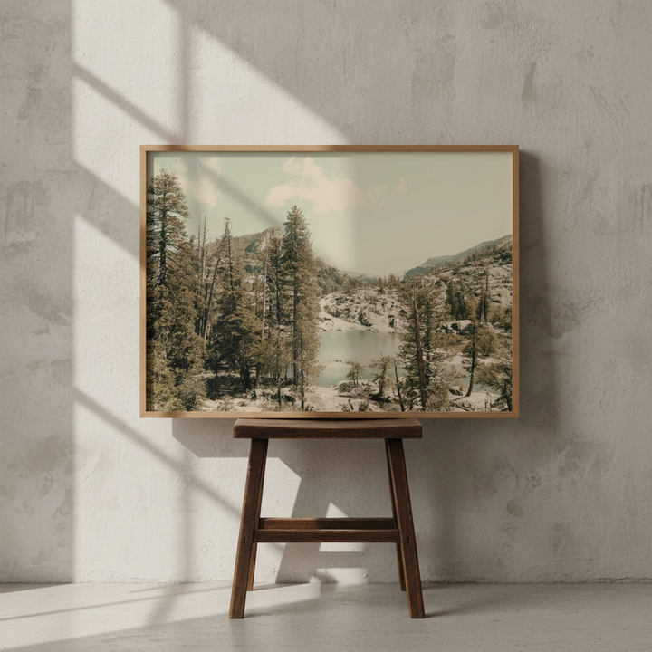 Alone in Solitude by Hope Bainbridge