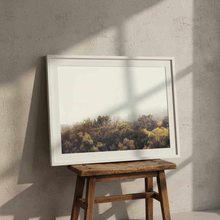 Autumn Afternoons by Hope Bainbridge