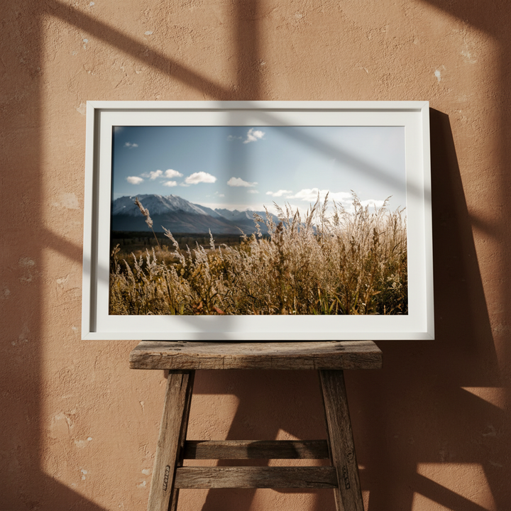 Autumn Light by Cordula Schaefer