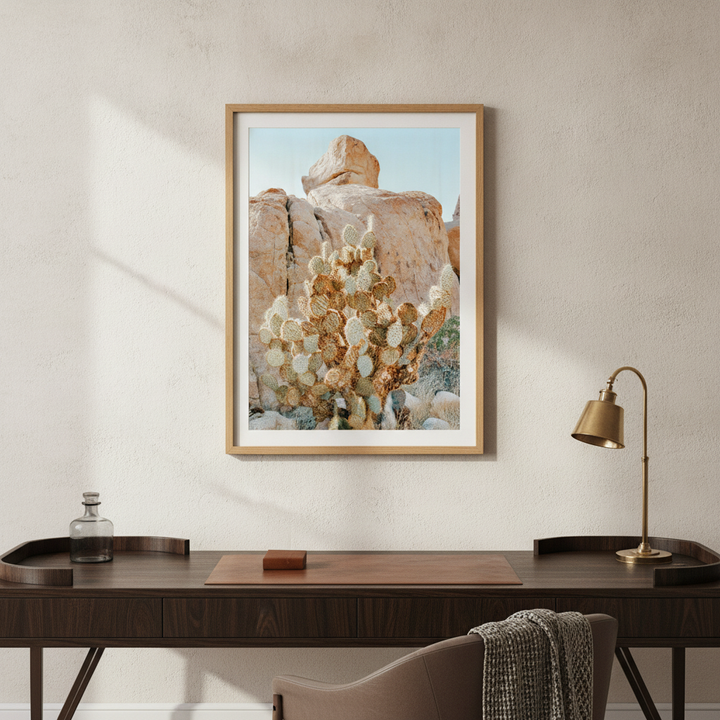 Summer Time Cactus Photograph