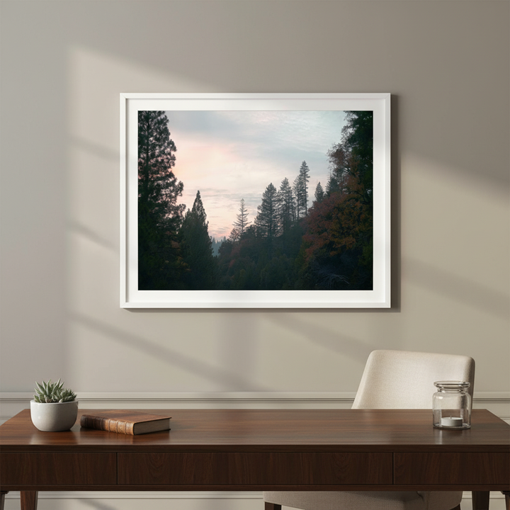 Evening Drive by Hope Bainbridge