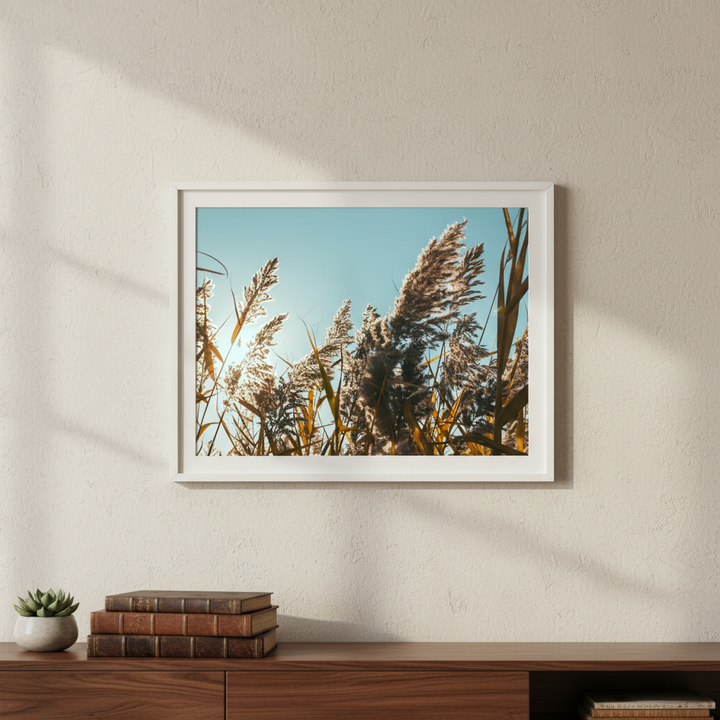 Illuminated Reeds by Aaron Borchardt