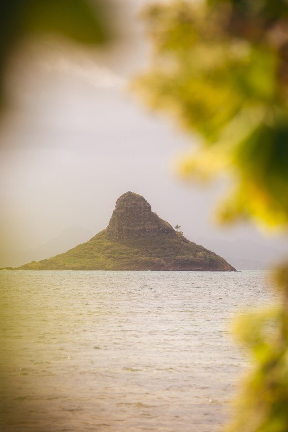 Island in the middle of a body of water with trees in the foreground framed