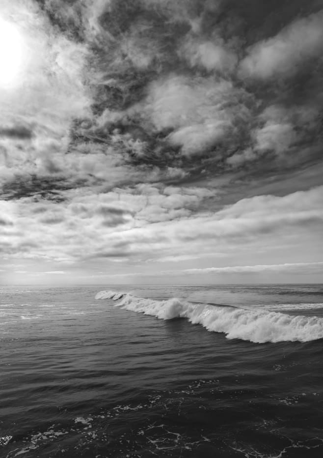 Monochrome San Diego  By Bethany Young