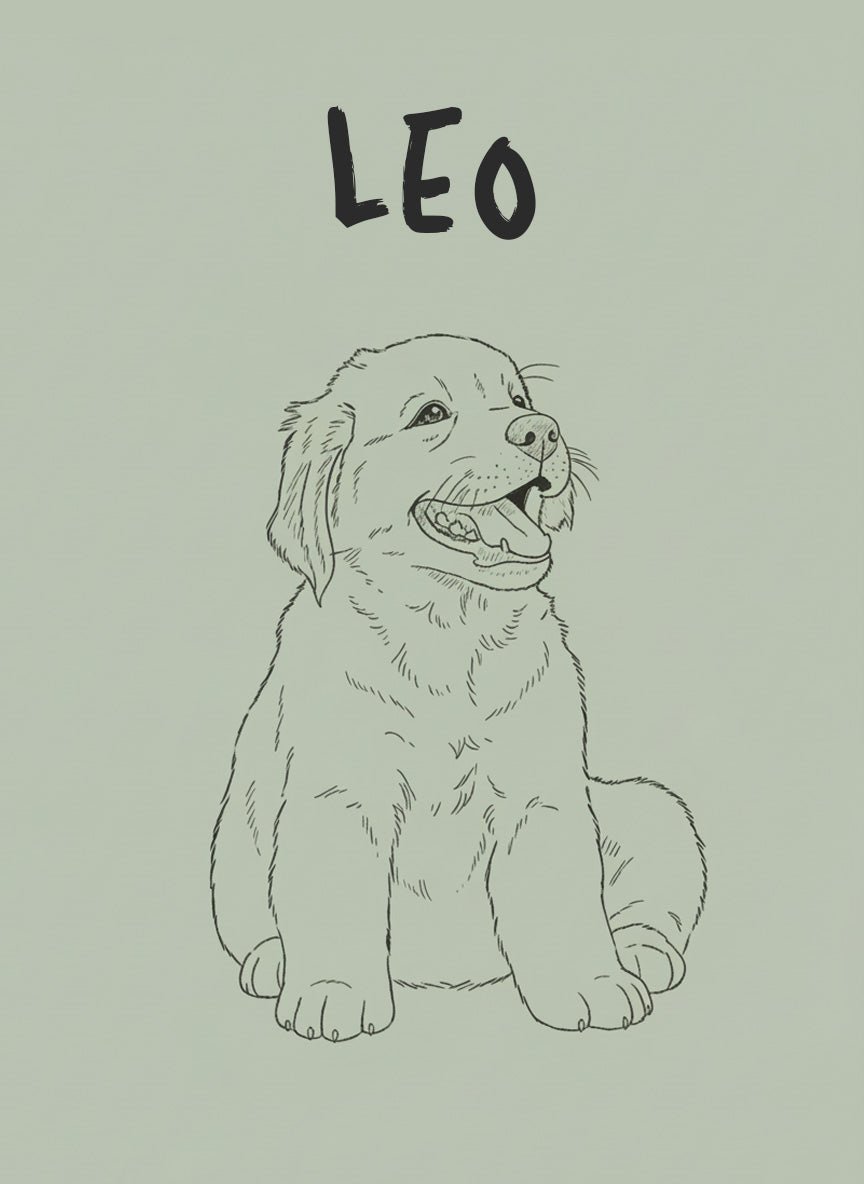 Monoline Custom Pet Personalisation Wall Art wall - art - picture - poster