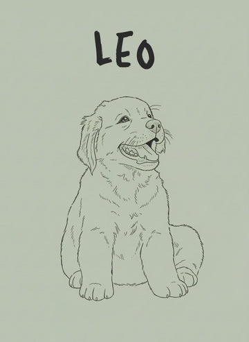 Monoline Custom Pet Personalisation Wall Art wall - art - picture - poster