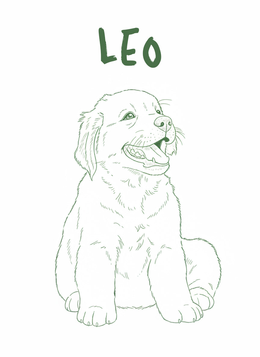 Monoline Custom Pet Personalisation Wall Art