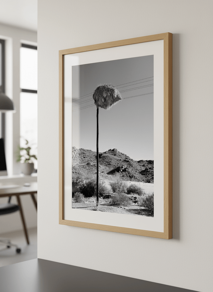 Contemporary wall art featured in a bright modern office workspace