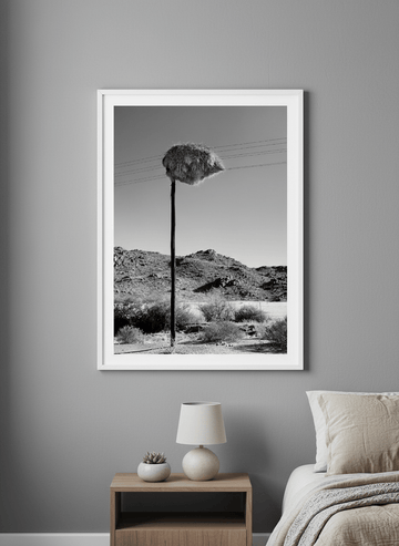 Minimalist artwork displayed in a calm, light-filled bedroom interior