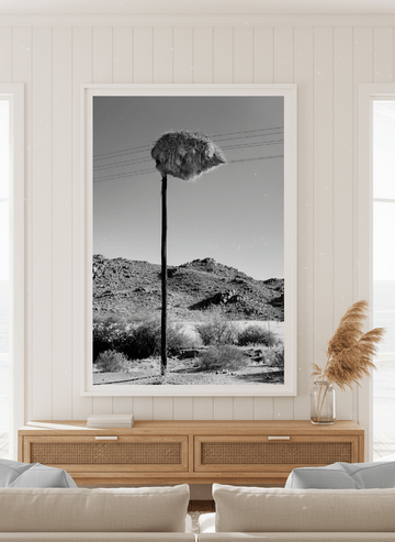 Neutral wall art displayed in a sunny coastal beach house