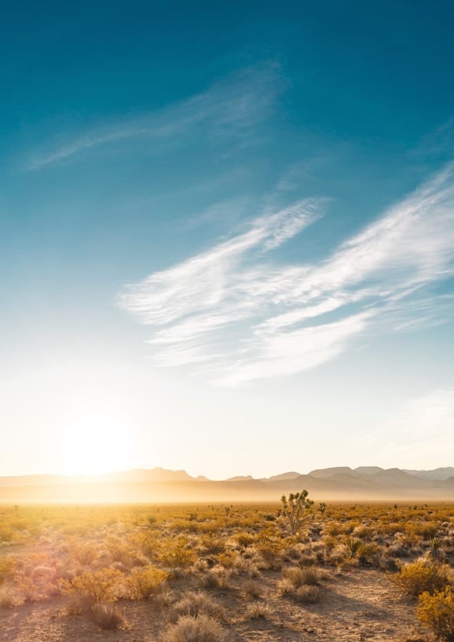 Nevada Desert Sunrise  By Bethany Young