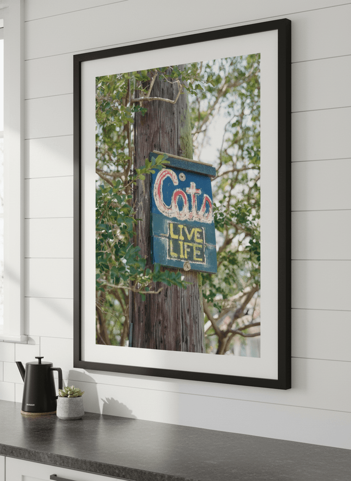 Artwork styled on the wall of a bright modern kitchen