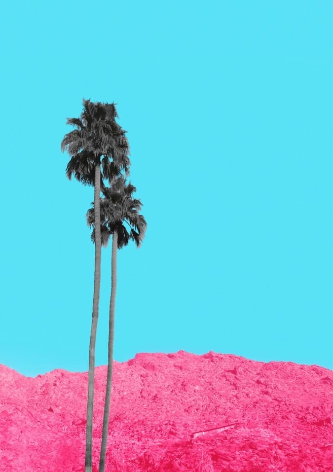 No Gray Days In Palm Springs By Tom Windeknecht