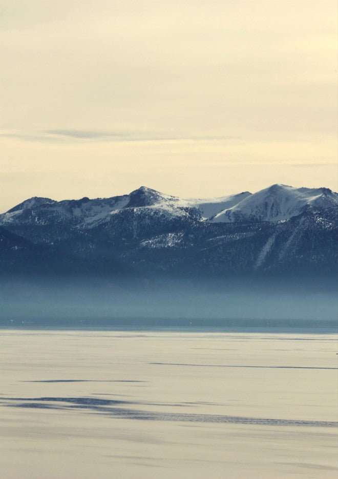 North Shore by Hope Bainbridge