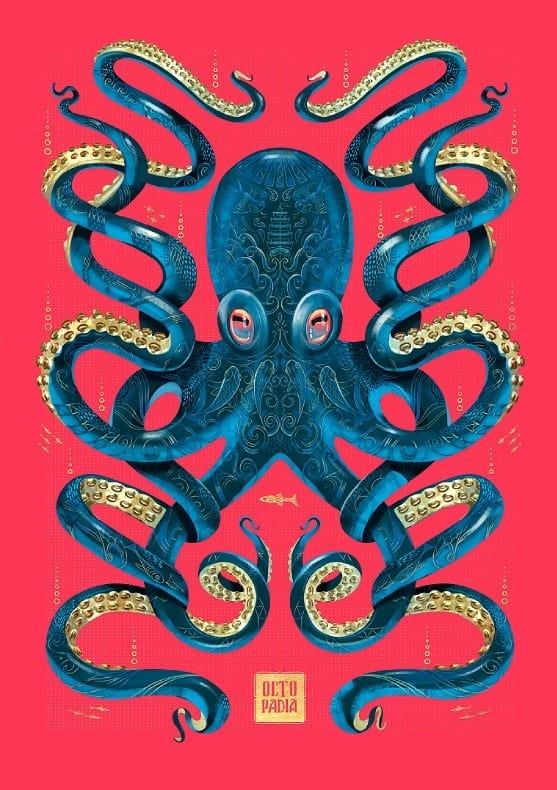 Octopus Magenta & Blue By Mark Harrison