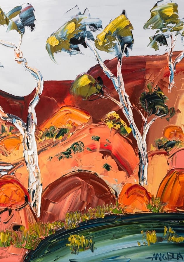 Outback Billabong By Angela Hawkey