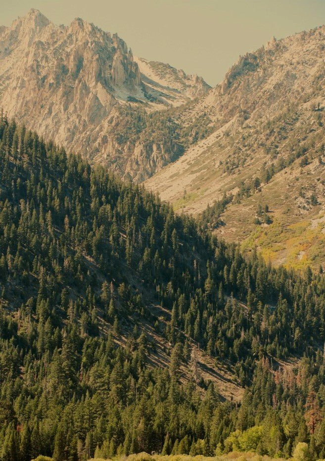 Over the Pass by Hope Bainbridge
