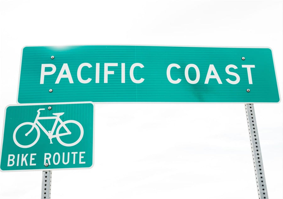 Pacific Coast  By Bethany Young