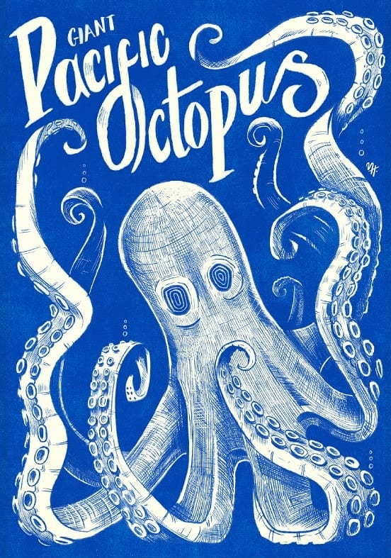 Pacific Octopus Blue By Mark Harrison