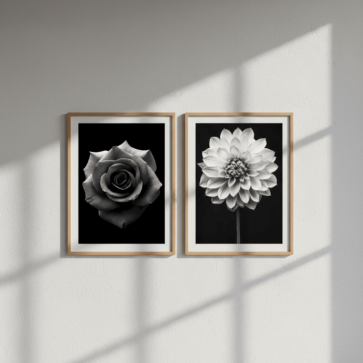 Paired Petals by Peter Attard wall - art - picture - poster