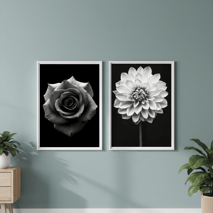Paired Petals by Peter Attard wall - art - picture - poster