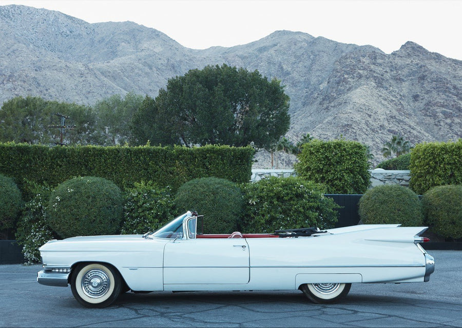 Palm Springs by Robin Skjoldborg
