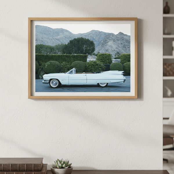 Palm Springs by Robin Skjoldborg
