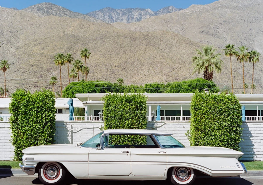 Palm Springs Ride  By Bethany Young